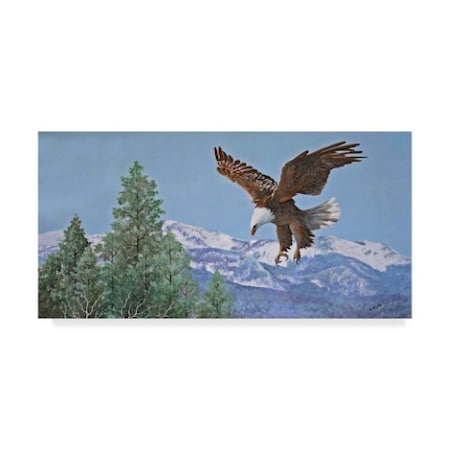 Carol J Rupp 'Soaring Over Snowy Peaks' Canvas Art,12x24